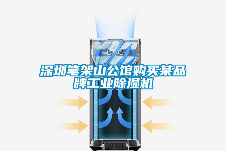 深圳筆架山公館購買某品牌工業(yè)除濕機