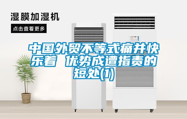 中國外貿不等式痛并快樂著 優勢成遭指責的短處(1)