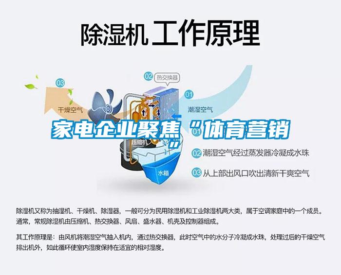 家電企業(yè)聚焦“體育營銷”