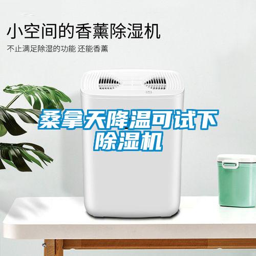 桑拿天降溫可試下除濕機