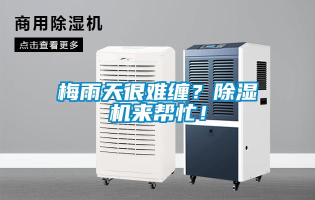 梅雨天很難纏？除濕機來幫忙！