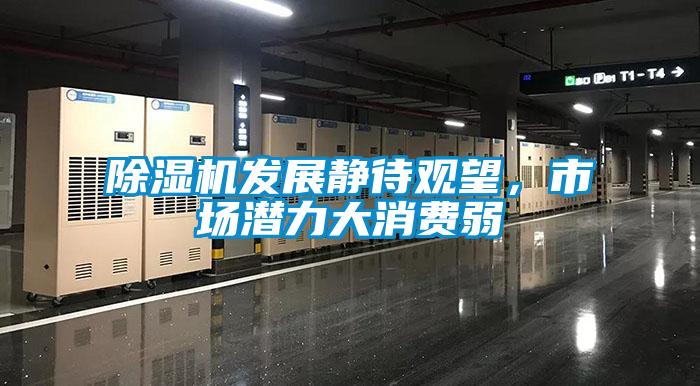 除濕機發展靜待觀望，市場潛力大消費弱