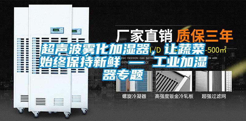 超聲波霧化加濕器，讓蔬菜始終保持新鮮 — 工業(yè)加濕器專題
