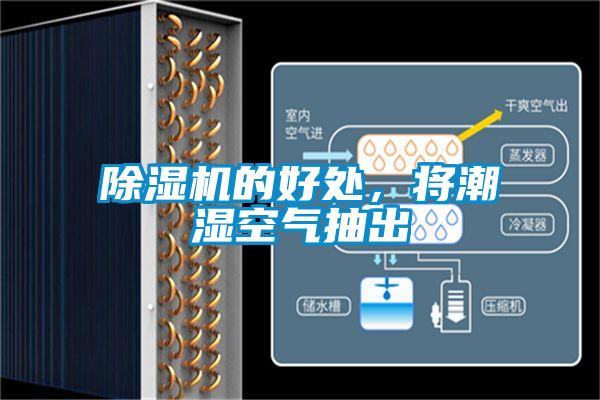 除濕機的好處，將潮濕空氣抽出