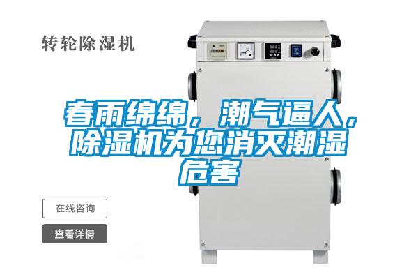 春雨綿綿，潮氣逼人，除濕機為您消滅潮濕危害