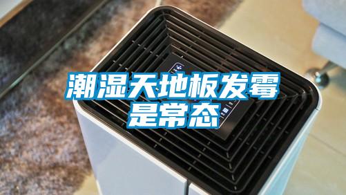 潮濕天地板發霉是常態