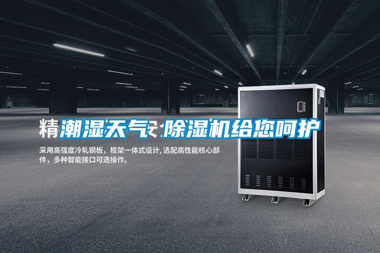 潮濕天氣 除濕機給您呵護
