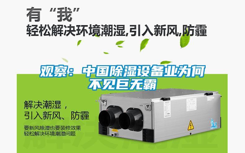 觀察：中國除濕設備業為何不見巨無霸