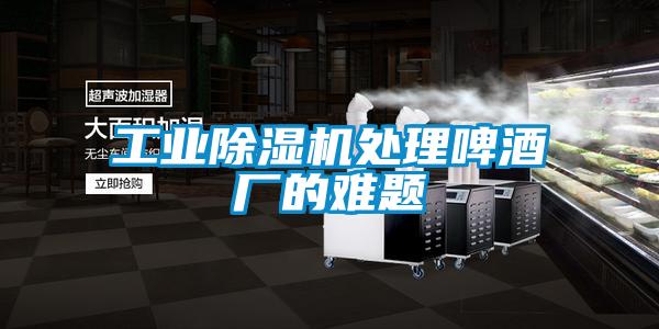 工業(yè)除濕機處理啤酒廠的難題