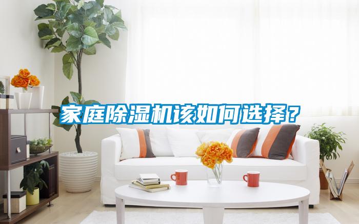 家庭除濕機該如何選擇？