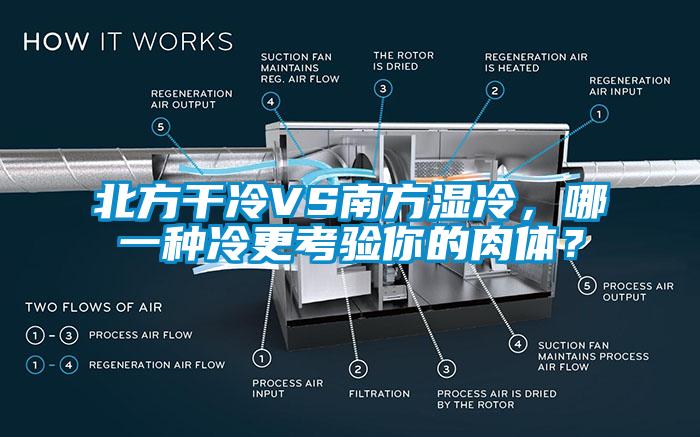 北方干冷VS南方濕冷，哪一種冷更考驗?zāi)愕娜怏w？