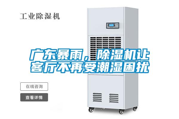 廣東暴雨，除濕機讓客廳不再受潮濕困擾
