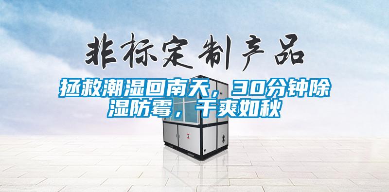 拯救潮濕回南天，30分鐘除濕防霉，干爽如秋
