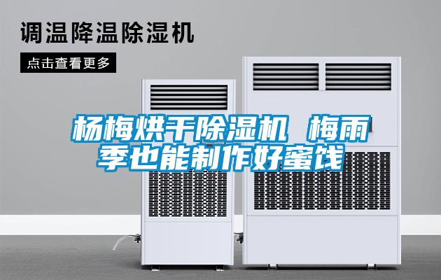 楊梅烘干除濕機 梅雨季也能制作好蜜餞