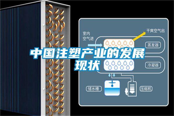 中國注塑產業的發展現狀