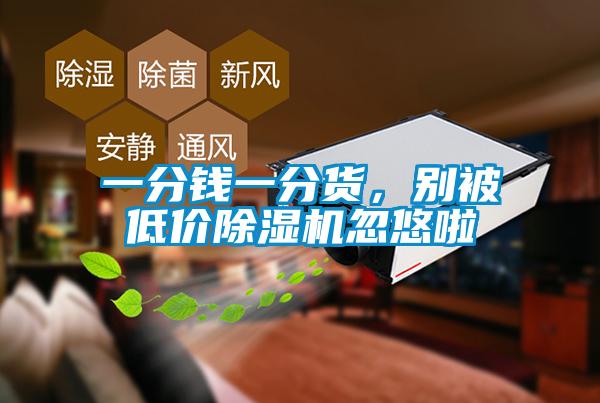 一分錢一分貨，別被低價除濕機忽悠啦