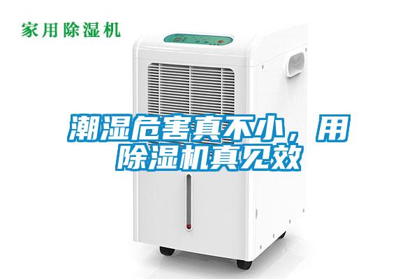 潮濕危害真不小，用除濕機真見效