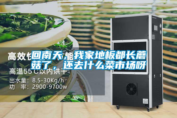 回南天，我家地板都長(zhǎng)蘑菇了，還去什么菜市場(chǎng)呀