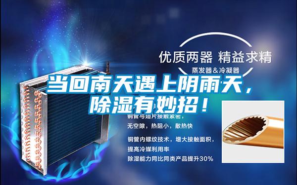 當回南天遇上陰雨天，除濕有妙招！