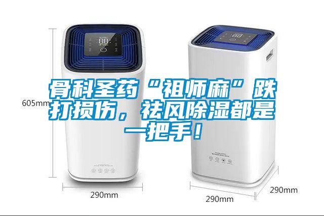 骨科圣藥“祖師麻”跌打損傷，祛風除濕都是一把手！