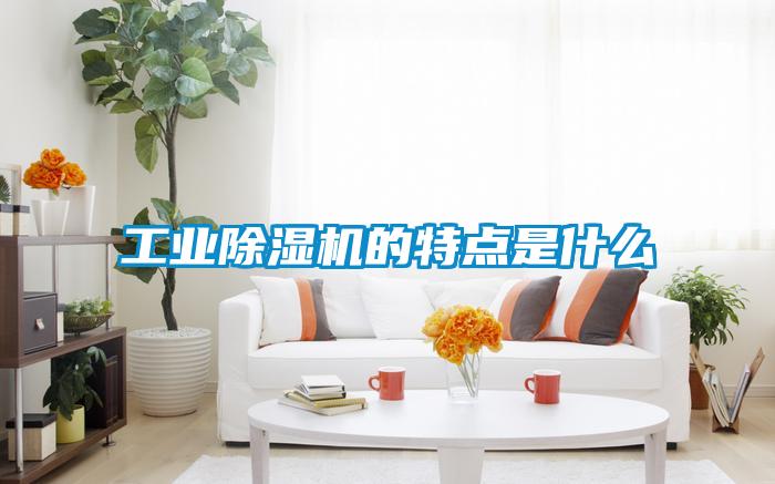 工業除濕機的特點是什么