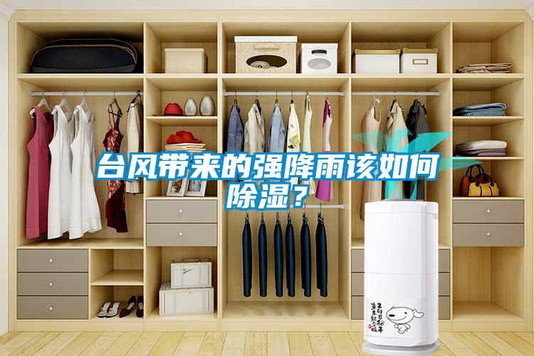 臺(tái)風(fēng)帶來的強(qiáng)降雨該如何除濕？