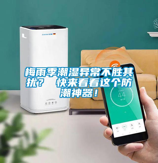 梅雨季潮濕異常不勝其擾？ 快來看看這個防潮神器！