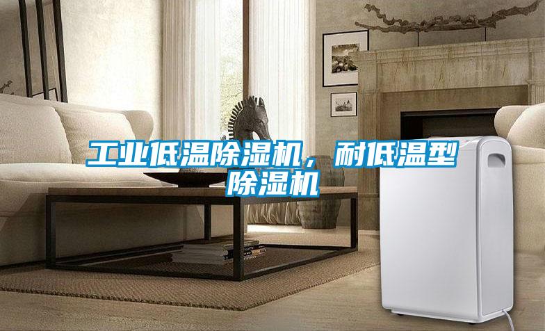 工業低溫除濕機，耐低溫型除濕機