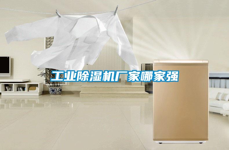 工業除濕機廠家哪家強