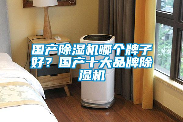 國產除濕機哪個牌子好？國產十大品牌除濕機