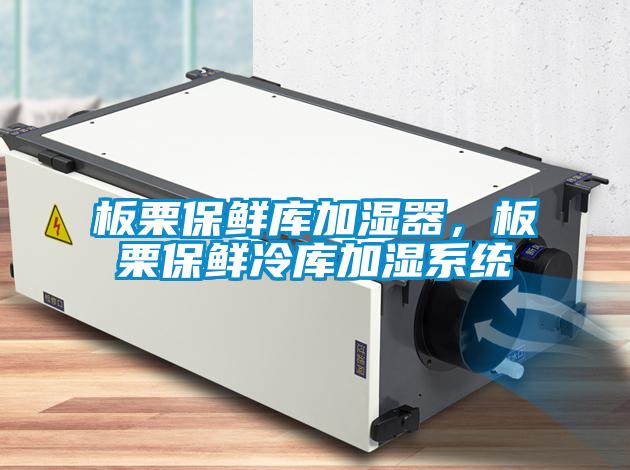 板栗保鮮庫加濕器，板栗保鮮冷庫加濕系統(tǒng)