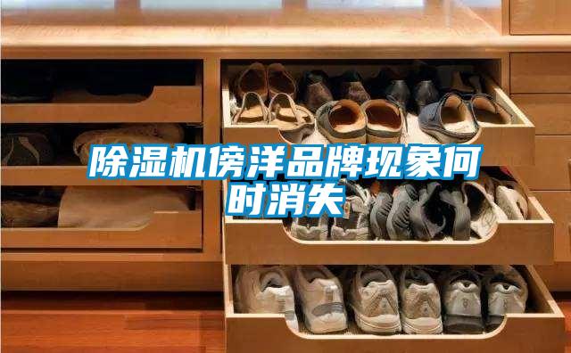 除濕機傍洋品牌現象何時消失