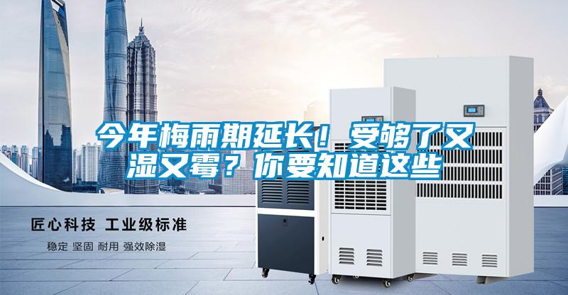 今年梅雨期延長！受夠了又濕又霉？你要知道這些