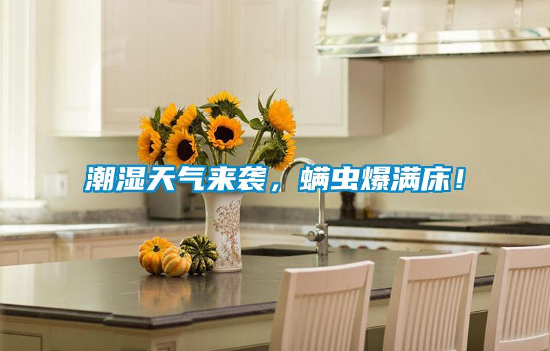 潮濕天氣來襲，螨蟲爆滿床！