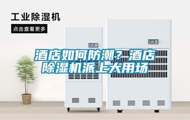 酒店如何防潮？酒店除濕機派上大用場
