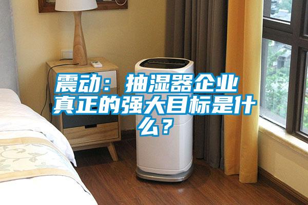 震動：抽濕器企業 真正的強大目標是什么？