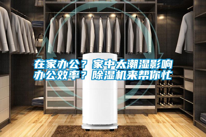 在家辦公？家中太潮濕影響辦公效率？除濕機來幫你忙