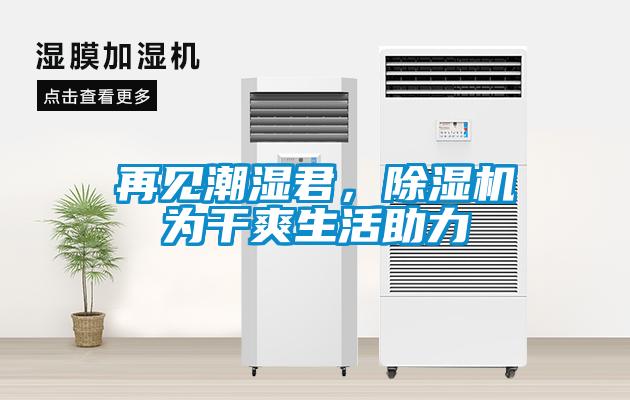 再見潮濕君，除濕機為干爽生活助力