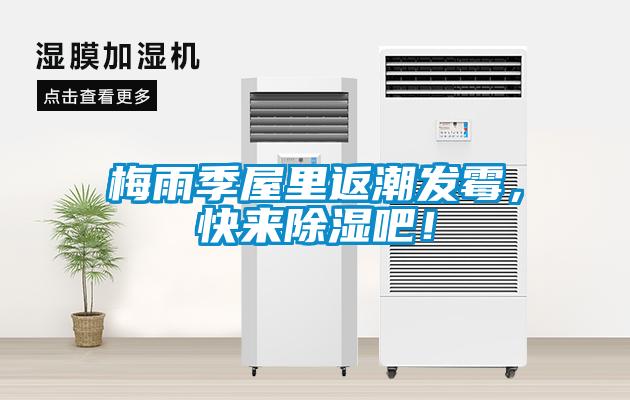 梅雨季屋里返潮發(fā)霉，快來除濕吧！