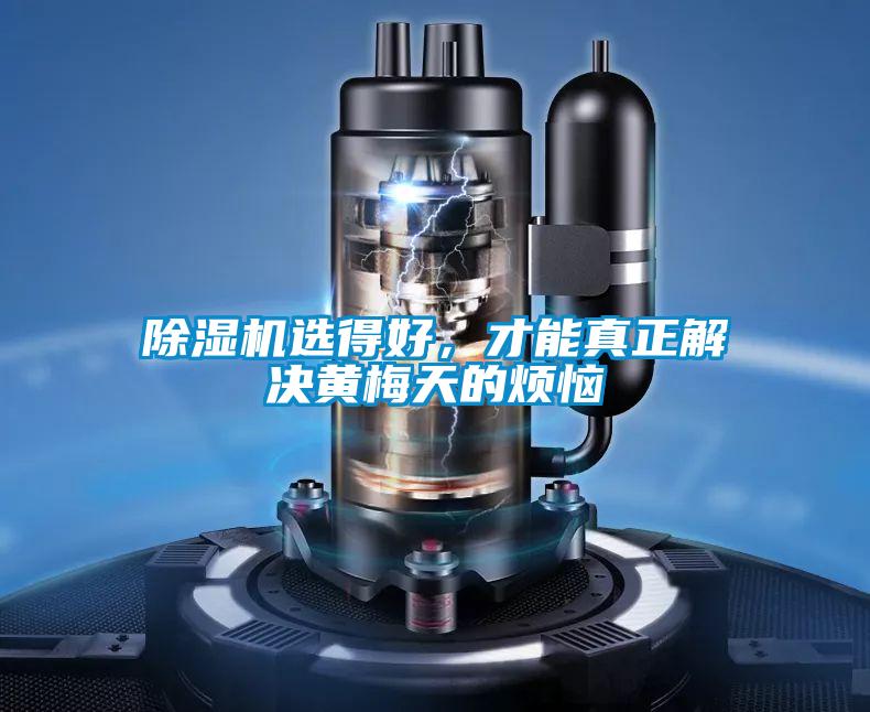 除濕機選得好，才能真正解決黃梅天的煩惱