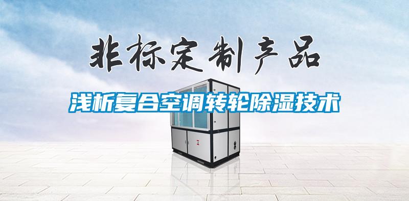 淺析復(fù)合空調(diào)轉(zhuǎn)輪除濕技術(shù)
