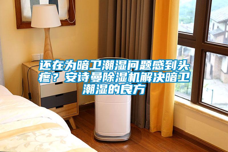 還在為暗衛潮濕問題感到頭疼？安詩曼除濕機解決暗衛潮濕的良方