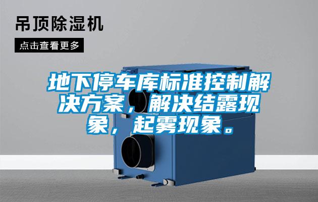 地下停車(chē)庫(kù)標(biāo)準(zhǔn)控制解決方案，解決結(jié)露現(xiàn)象，起霧現(xiàn)象。
