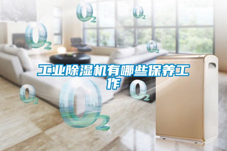 工業(yè)除濕機有哪些保養(yǎng)工作