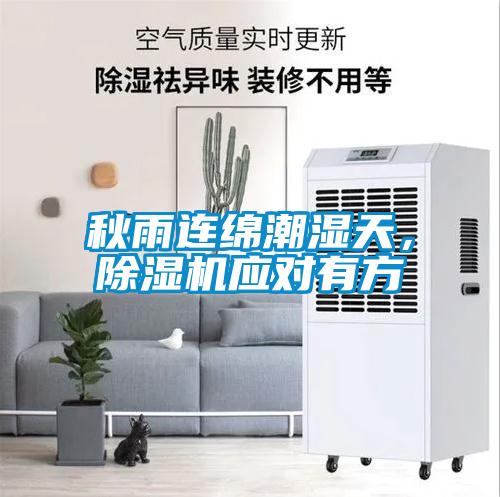 秋雨連綿潮濕天，除濕機應對有方