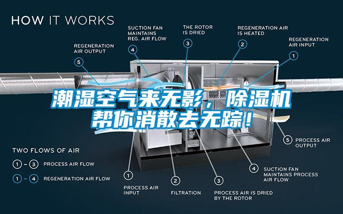 潮濕空氣來無影，除濕機幫你消散去無蹤！