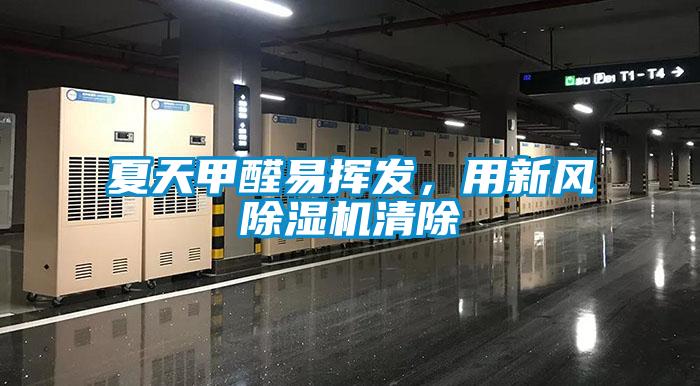 夏天甲醛易揮發，用新風除濕機清除