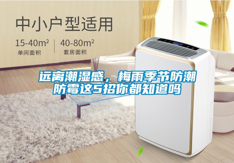 遠離潮濕感，梅雨季節防潮防霉這5招你都知道嗎