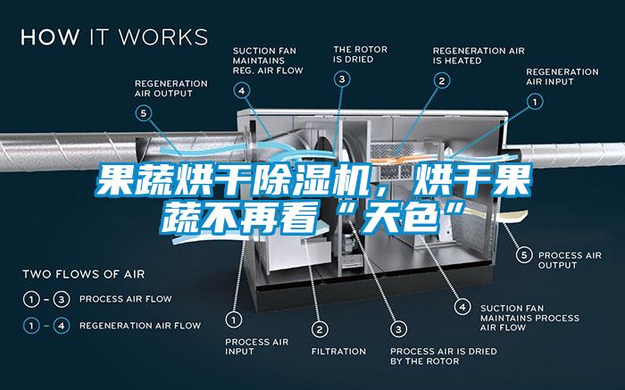 果蔬烘干除濕機，烘干果蔬不再看“天色”