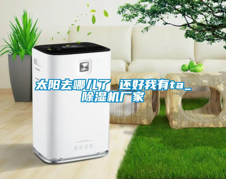 太陽去哪兒了 還好我有ta_除濕機廠家